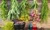 Herbal Treatment