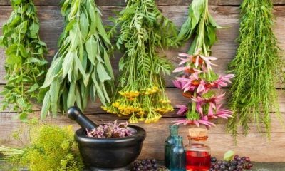 Herbal Treatment